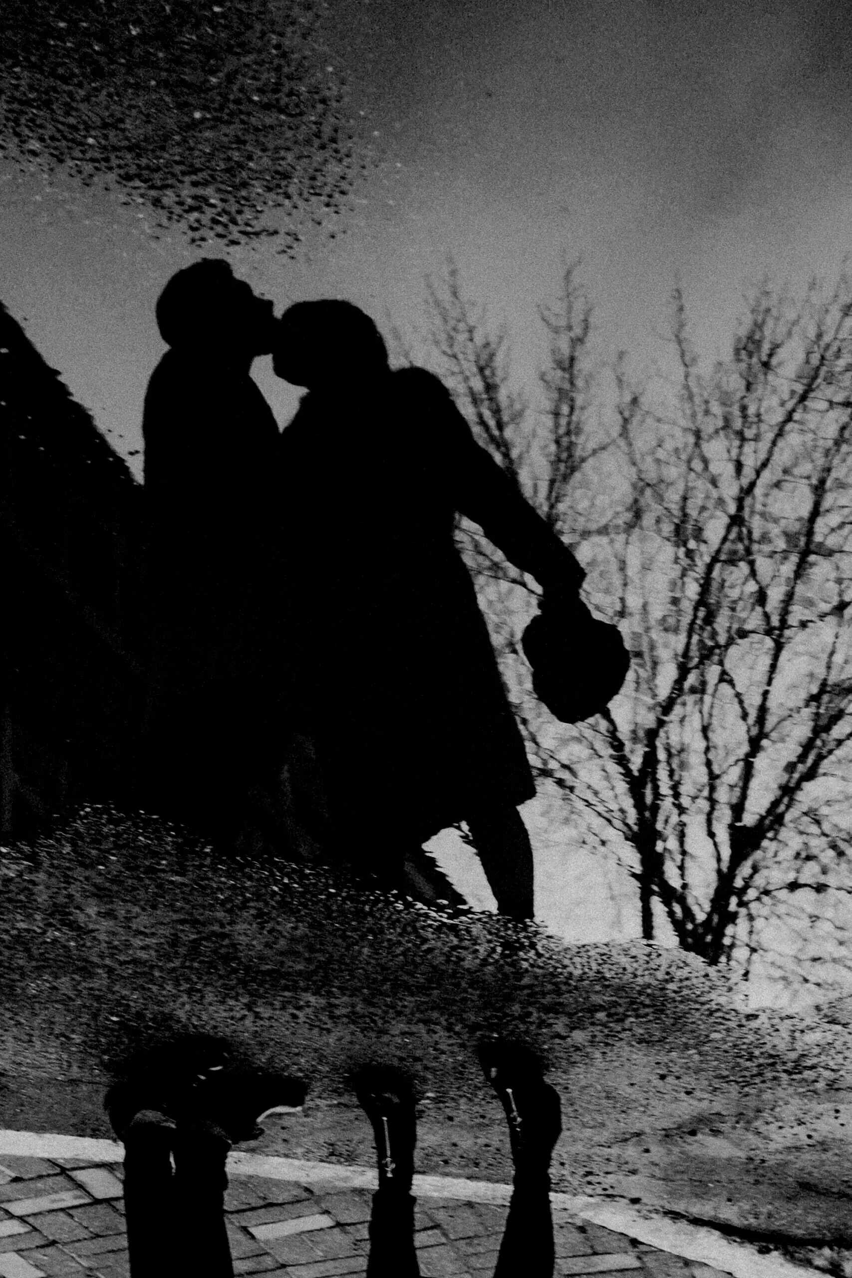 Brandon and Sarah lovers reunited Brandon and Sarah lovers reunited