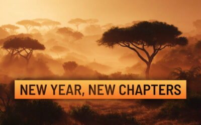 New Year, New Chapters!