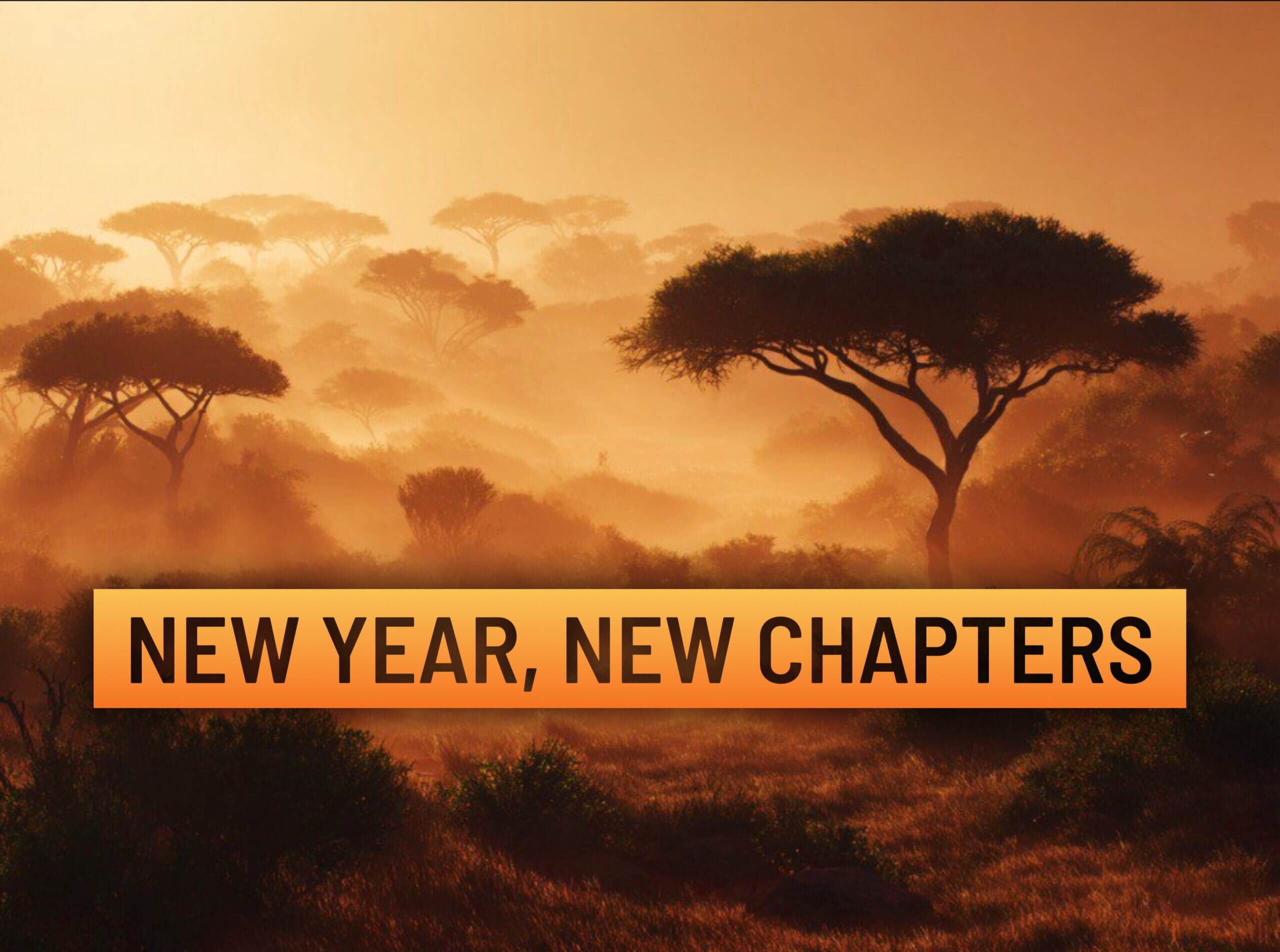 New Year, New Chapters
